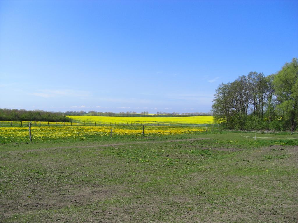 Ferienwohnung Landhaus Questin Alt Bukow Exterior foto